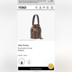 Fendi Crossbody Bag . Available To Ship Now. AUTHENTIC